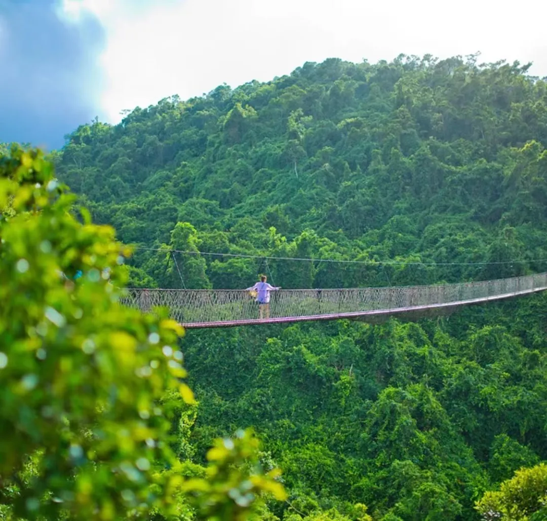 7e3478b5fd1a4c1812d8b59bb3ed1165-sz_322816 7e3478b5fd1a4c1812d8b59bb3ed1165-sz_322816