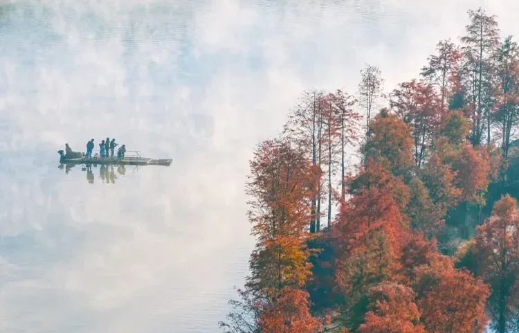 7e3973526b8889bb81157bbc7403a6d9-sz_541495