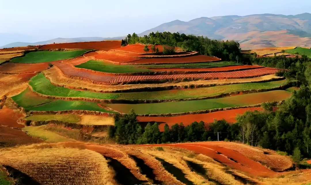 7e40df5a8d037df72cdddf14b8dd6114-sz_557776