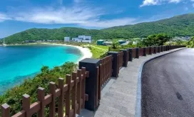 7ea2005527d148073c1e09a79051f0db-sz_8895877