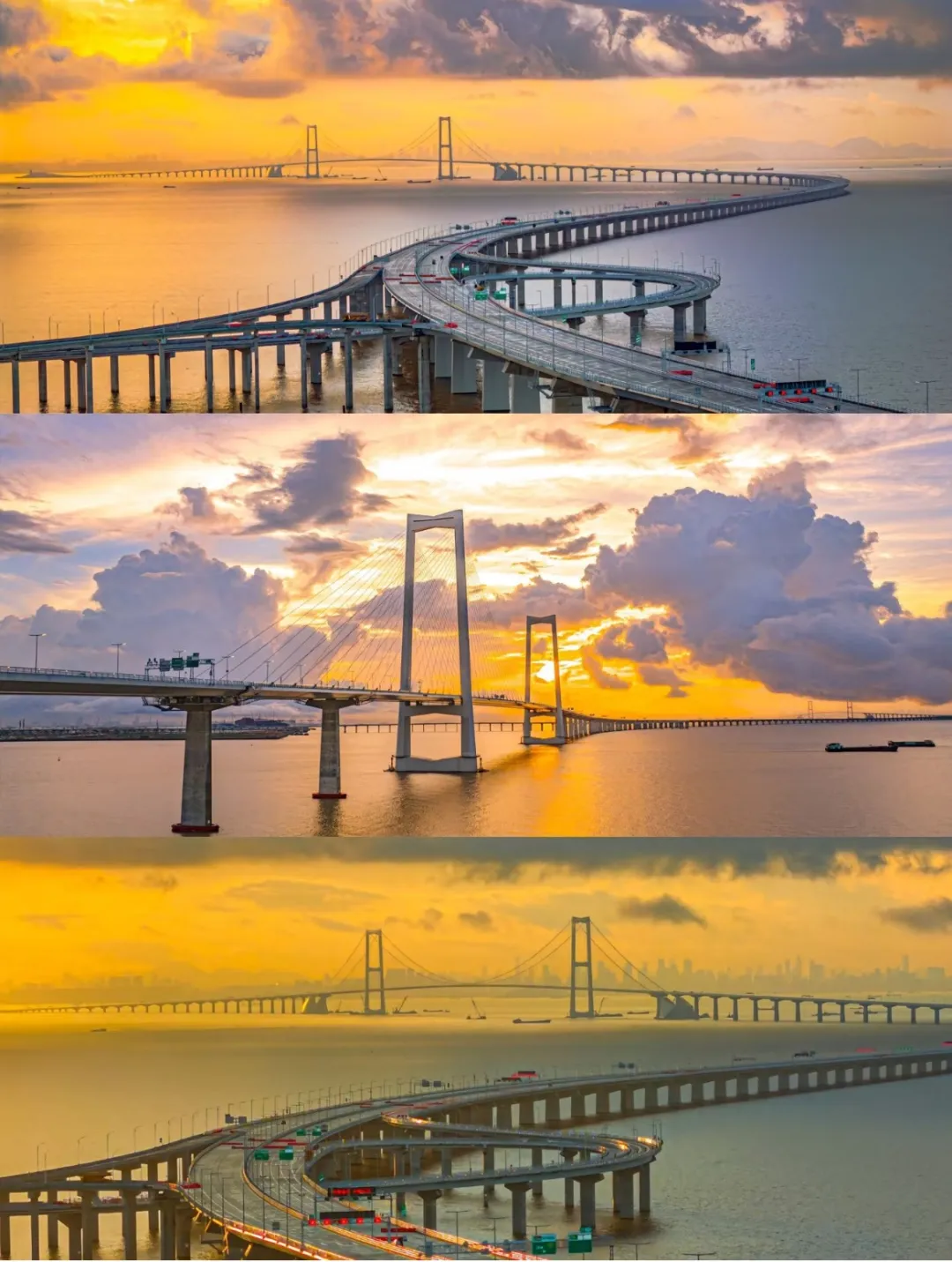 7ec73e73a3b18d82334008e9908f0232-sz_390851