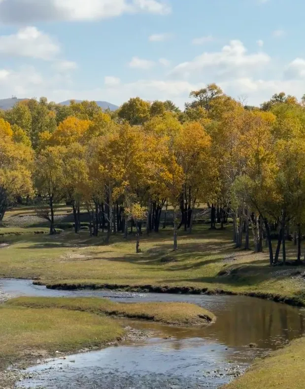 7ee2f7189a10301017b21fe94ff2c7b0-sz_839631