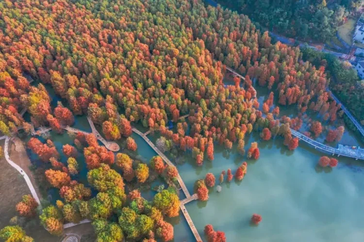 7ee4679213319c72163a21d9865f31fb-sz_176688