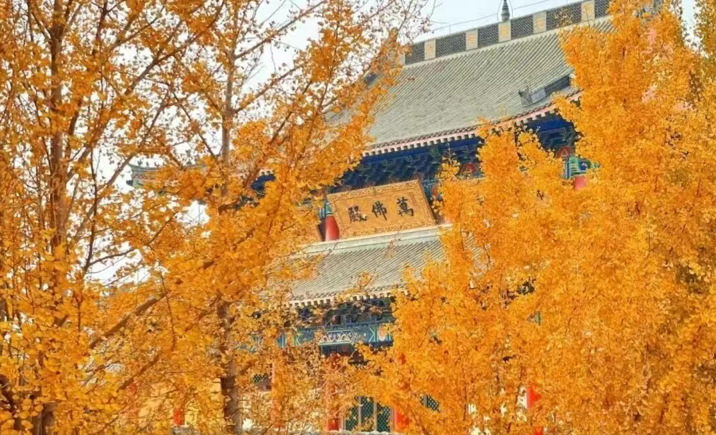 7f01f05f73291f838a5b7d66c1e9d40d