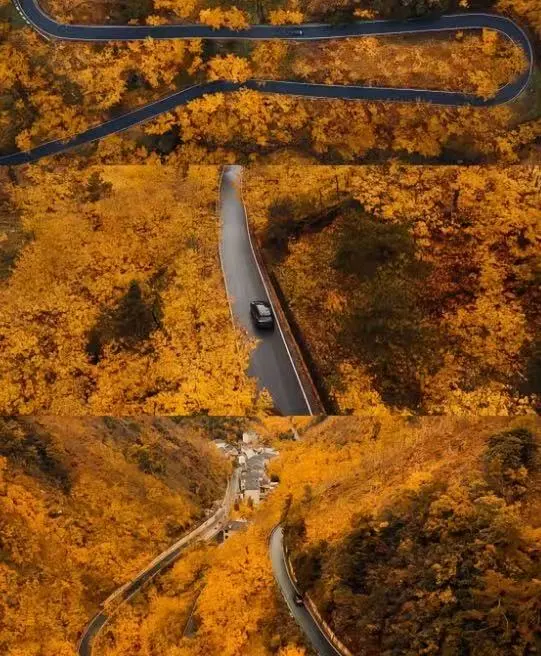 7f0d99b6ec13741c22df7847899b9eee-sz_91423 7f0d99b6ec13741c22df7847899b9eee-sz_91423