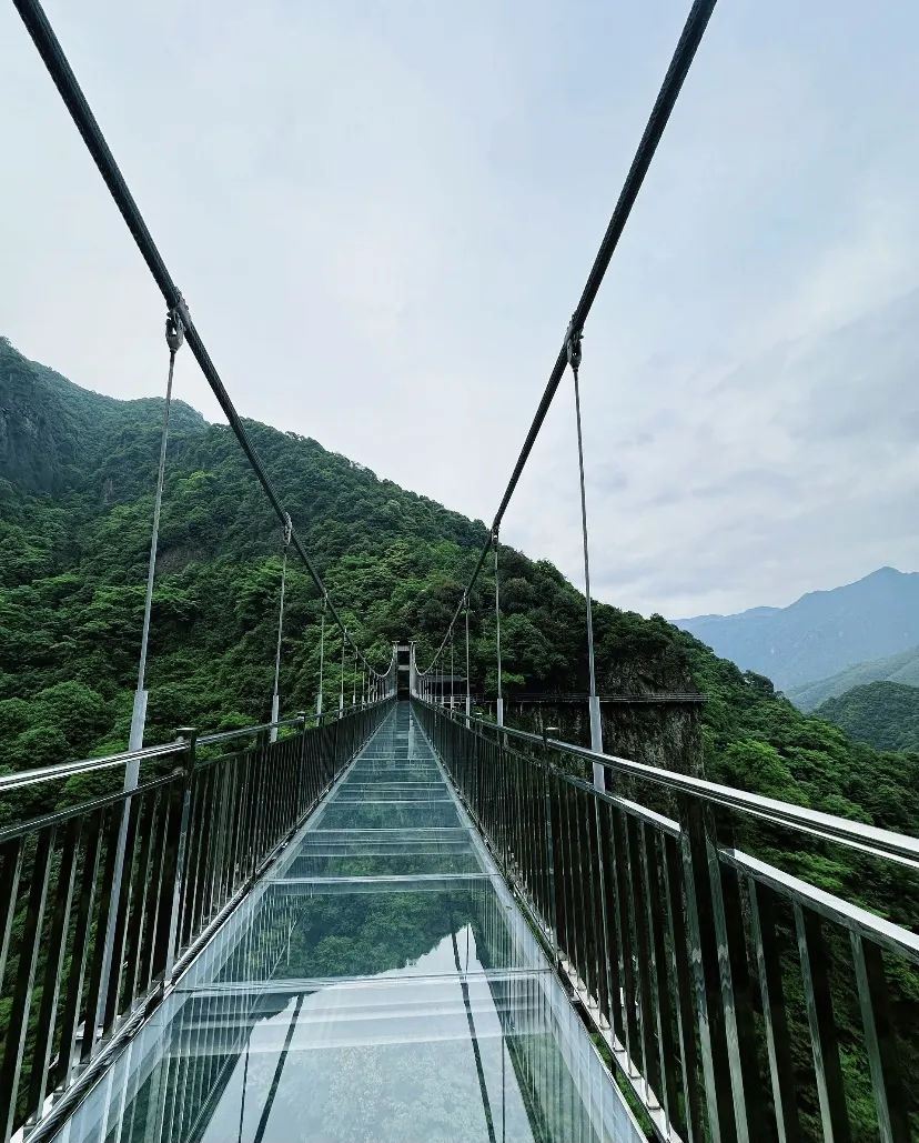 7f1b9590000bfea2b79bac9cab1a766b-sz_1543128