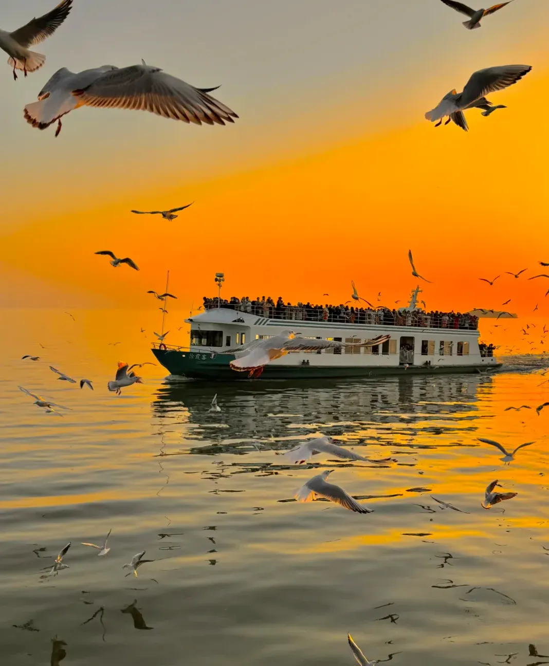 7f277deb257ae4c04166282cb36f7e90-sz_1514635-2