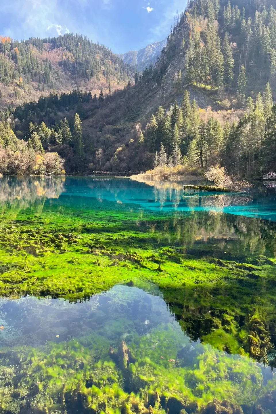 7f27a72dbc36226b168b9cbf07316bbd-sz_646056-1 7f27a72dbc36226b168b9cbf07316bbd-sz_646056-1