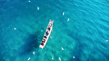 7f2958c63ec125cf4d782f6f5204d20f-sz_1655599 7f2958c63ec125cf4d782f6f5204d20f-sz_1655599