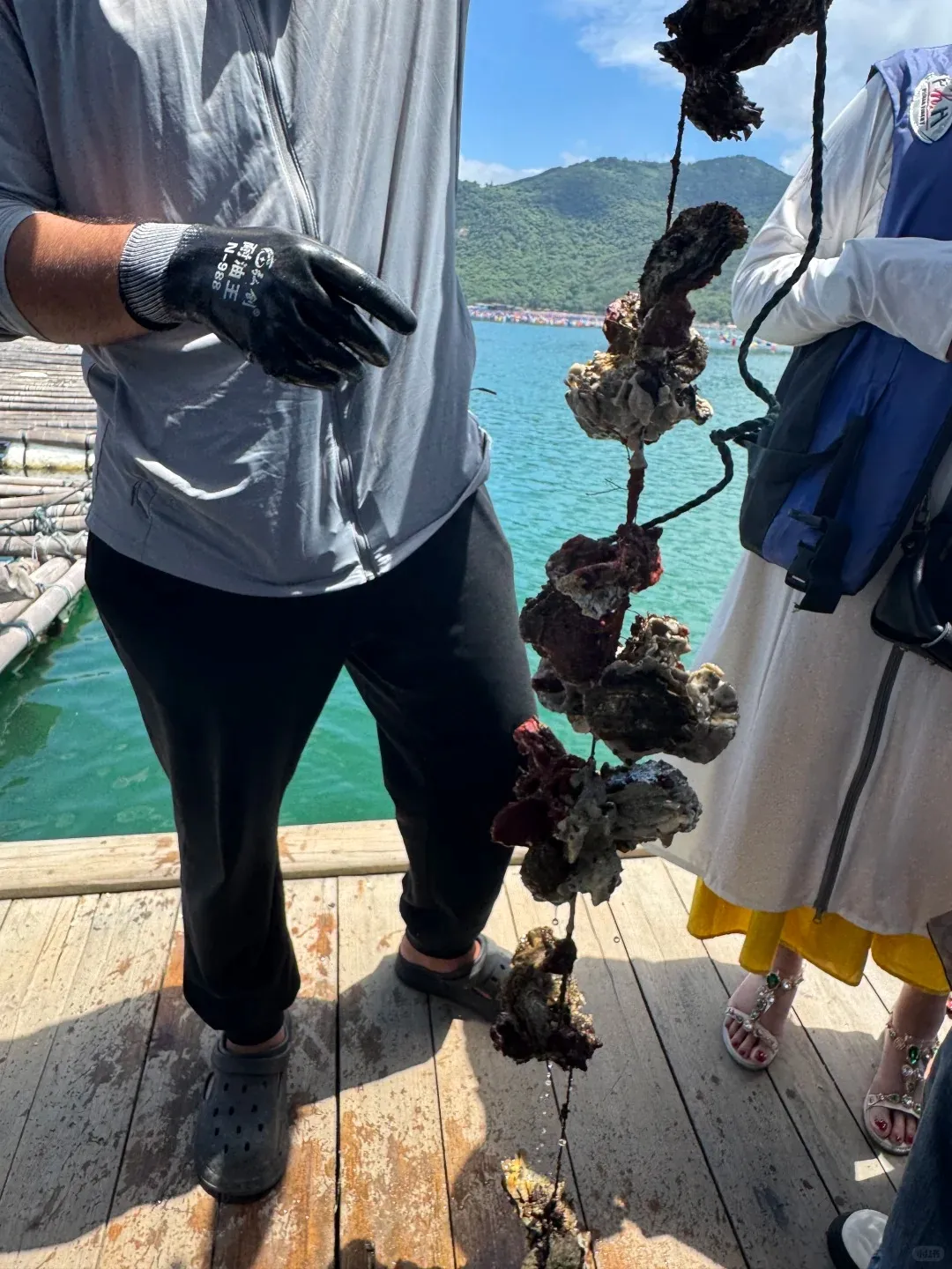 7f3dc7267ab4c414a19ce89ae568f21a-sz_415123 7f3dc7267ab4c414a19ce89ae568f21a-sz_415123