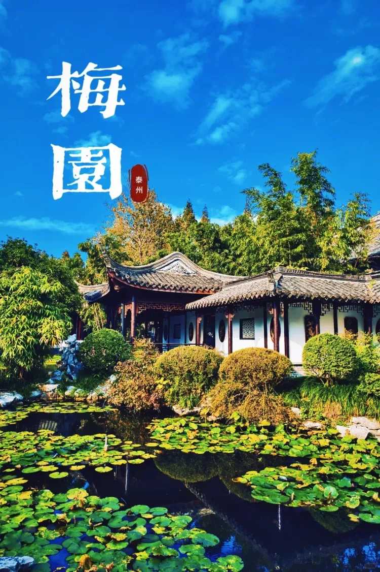 7f71ed74f03debd0ce32b62ff2ec21e1-sz_3346440