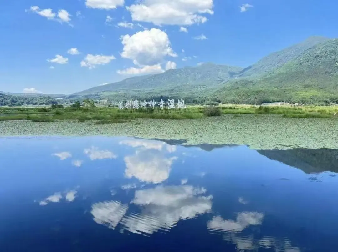 7f761119fee50a5a28333ce90924401f-sz_90537