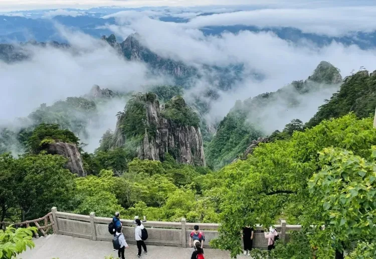 7fab97226f6f863a63284ed53c4cd8a5-sz_197020 7fab97226f6f863a63284ed53c4cd8a5-sz_197020