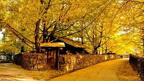 7fb53682c60d8a48d3c7665118798093-sz_42561 7fb53682c60d8a48d3c7665118798093-sz_42561