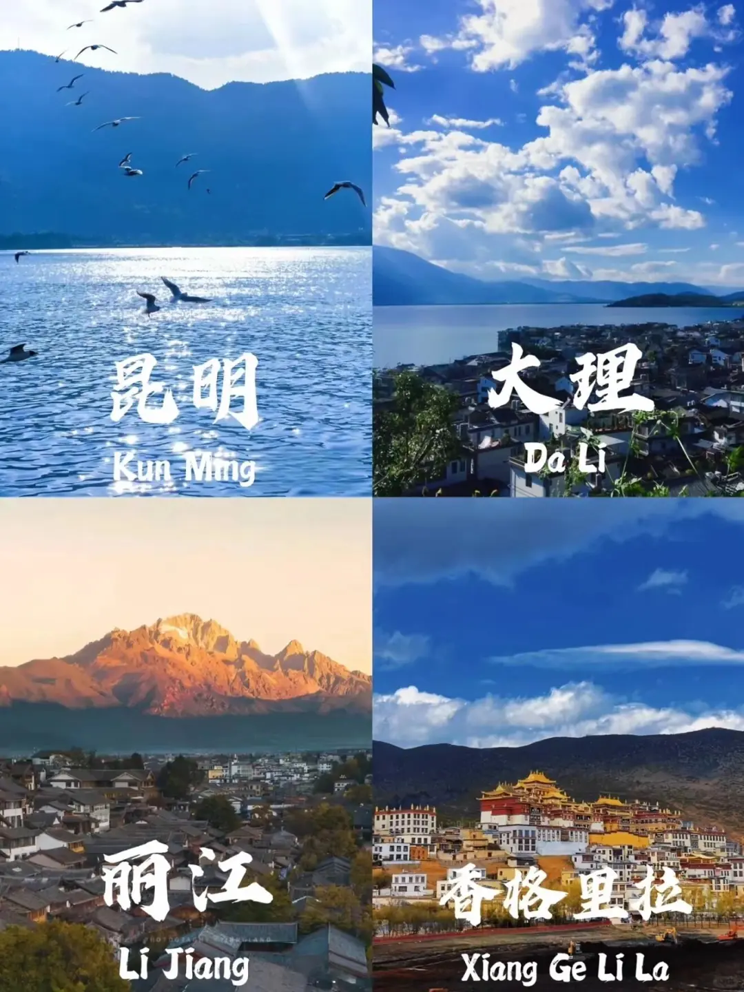 802e1315dbf04be306befb6ee8116ecf-sz_303567