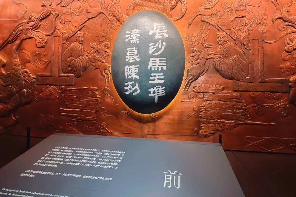 8036ac87967f5a8cba66053f5dec9e4d-sz_3175215