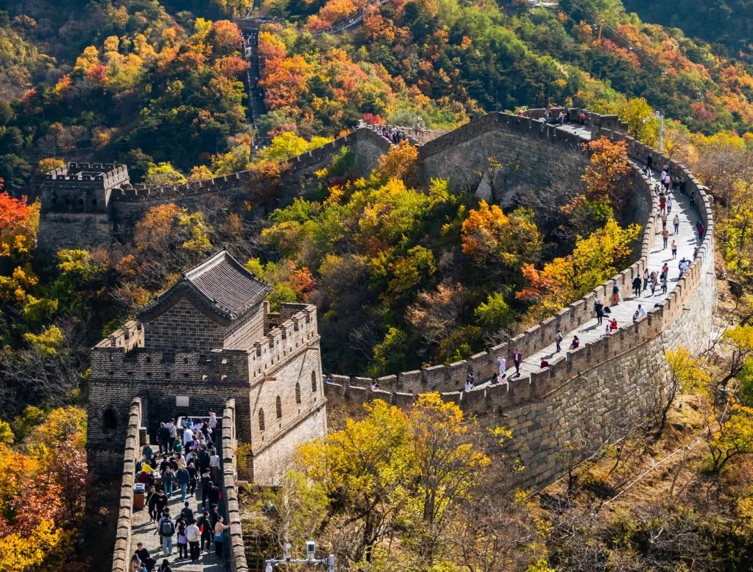 8046977e374207c3af62a0bbde75e60c-sz_804838