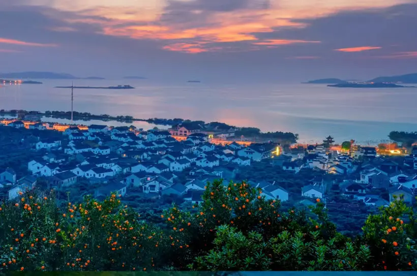 80505e8e97a5dda3cb772e76e475c1fc-sz_96319