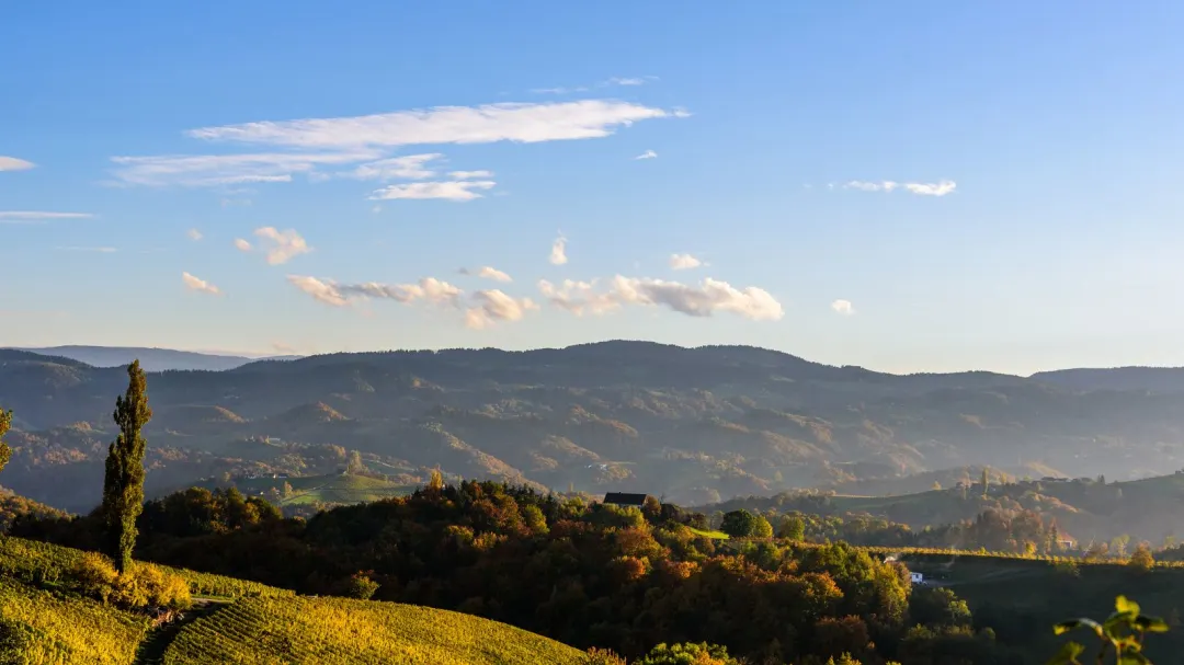 8060944f169f611a65a47e102935a766-sz_167029 8060944f169f611a65a47e102935a766-sz_167029