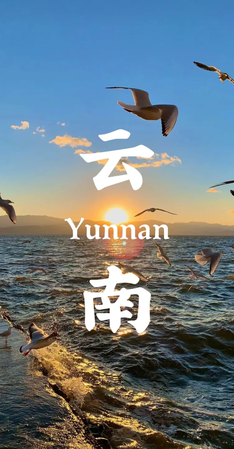 80b441965bf5529148f7f5de3266f86e-sz_709417-1