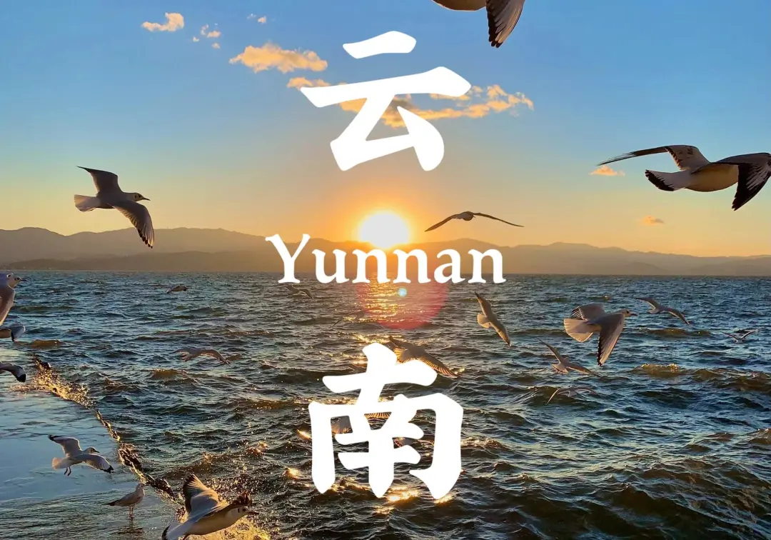 80b441965bf5529148f7f5de3266f86e-sz_709417