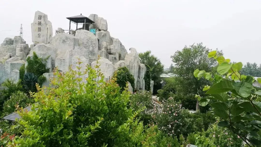 80b599ab4418c4b11ddf14f6c61a92b5-sz_147991