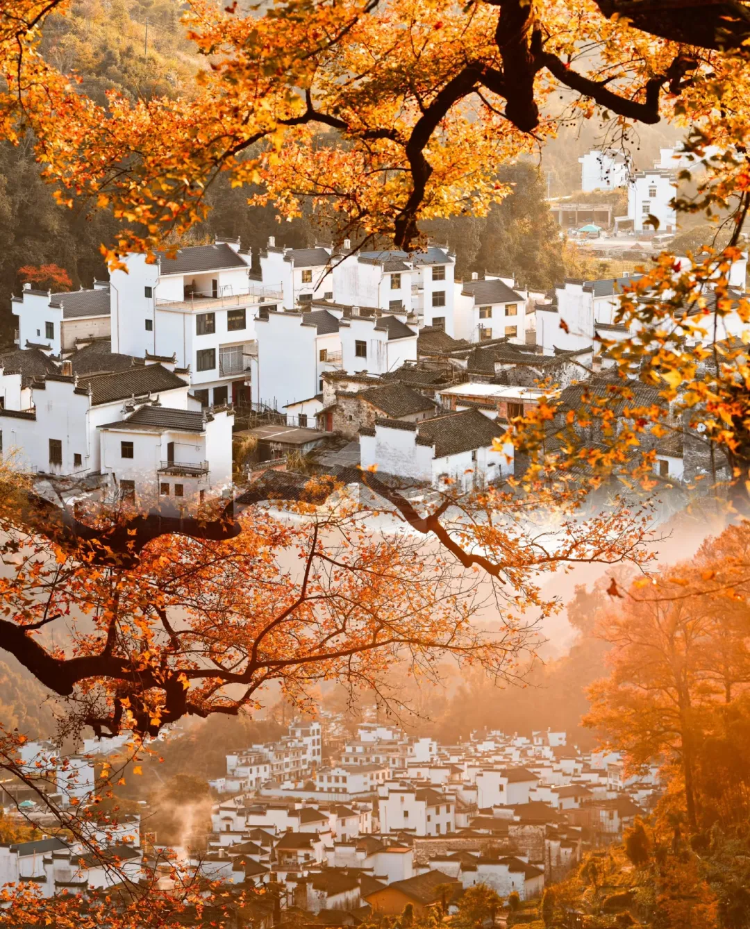 8109b586af9988fb3d5b4157d4ec3f3e-sz_2347650 8109b586af9988fb3d5b4157d4ec3f3e-sz_2347650