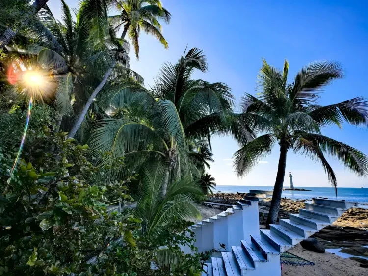 8118551bf0730fdcc8aa6c620b6e167c-sz_2973417