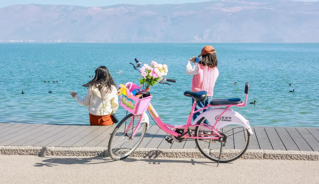 81255309bfc3c3fef916d5f7a85e35be-sz_537218