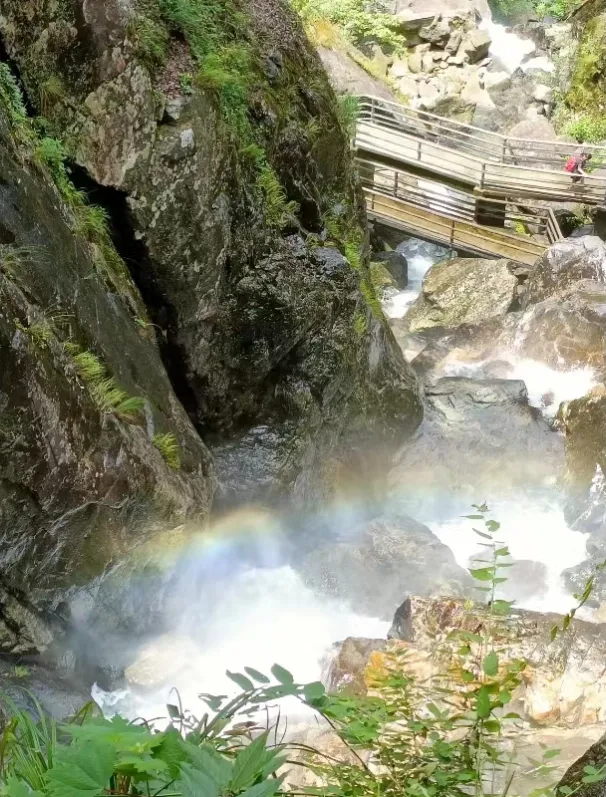 814aa3c35b3953aa6bbc633247d5de7c-sz_1074628