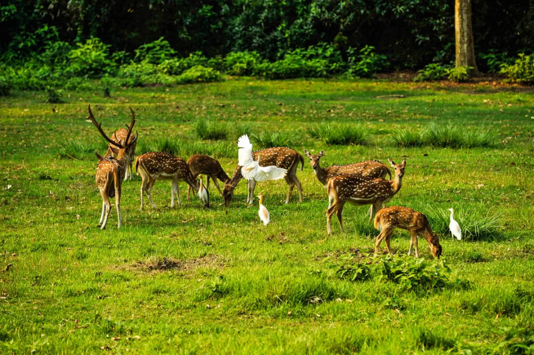 816283abe40f553ca2e39f8612c16ee8-sz_343296-1