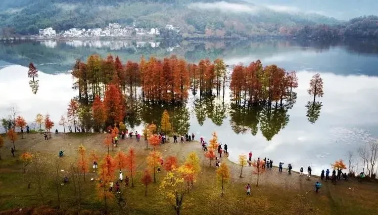 8165235b83bf79352b0aedd170e1efec-sz_605515 8165235b83bf79352b0aedd170e1efec-sz_605515