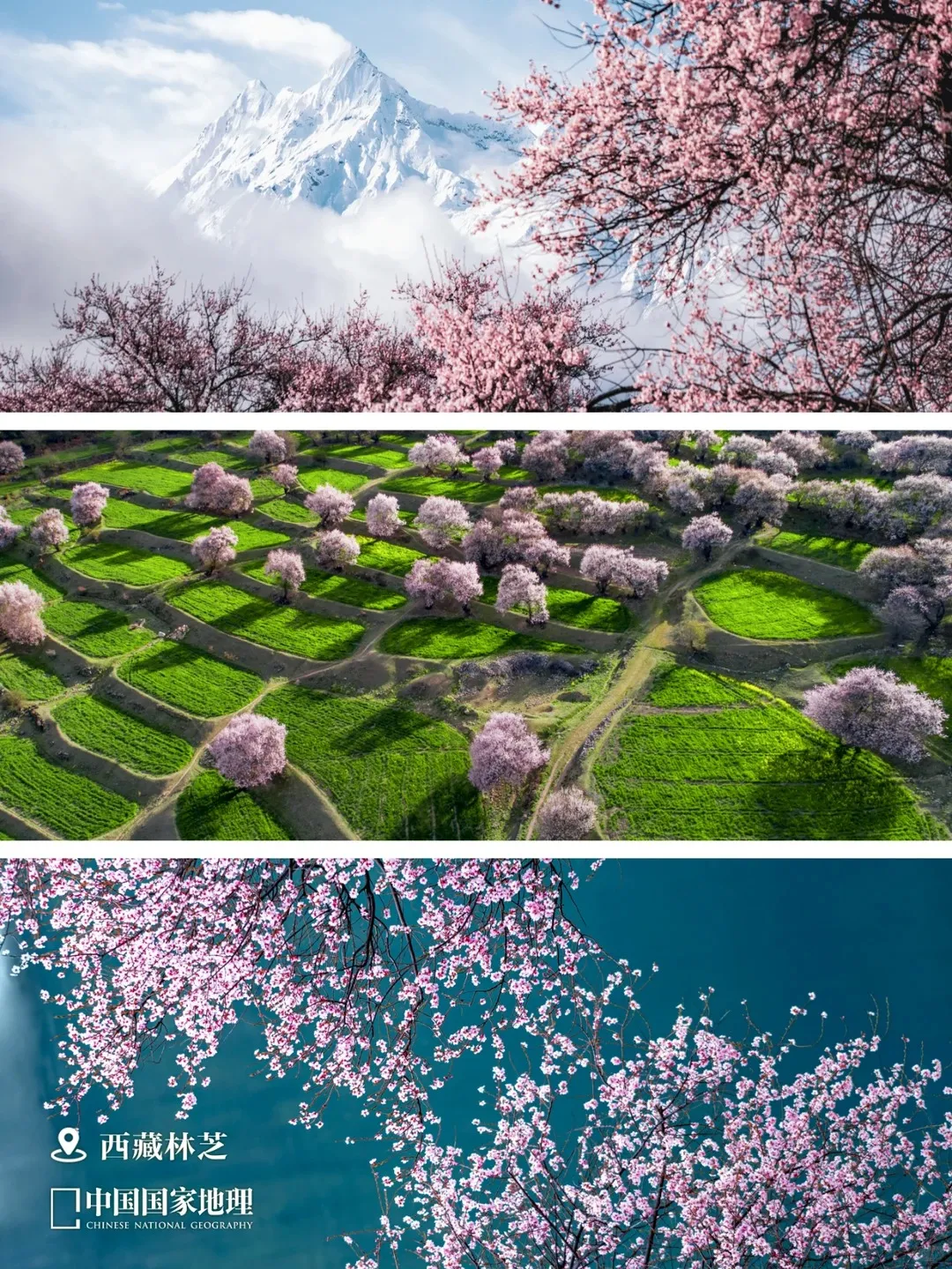 817cf178402688b86ce3a1c2a103e2b4-sz_670709