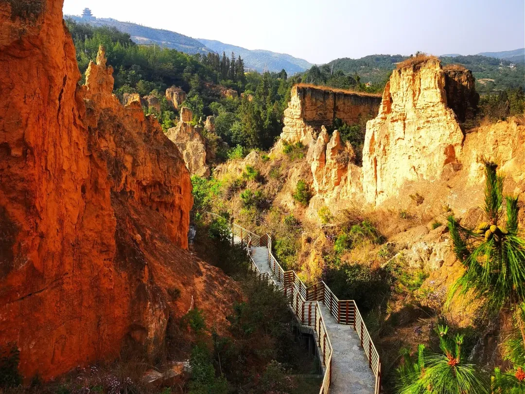 81994cbe83c99ff5700d77ffdcf6041f-sz_2931086