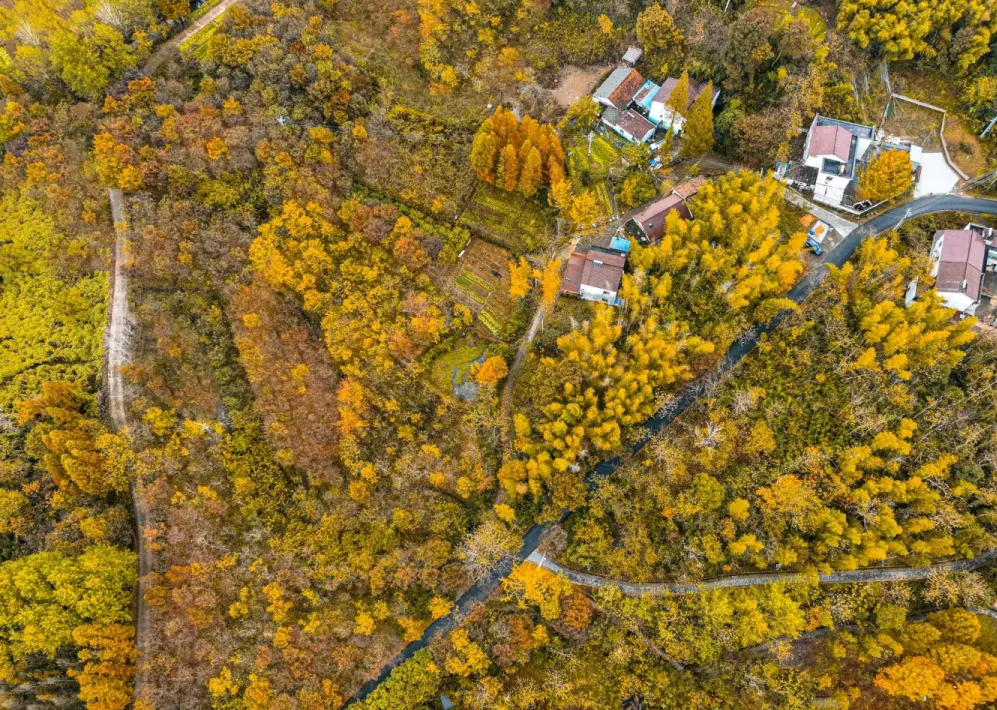 81b1dc0d946f047310a76a9ed0c689b7-sz_1584634 81b1dc0d946f047310a76a9ed0c689b7-sz_1584634