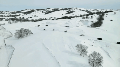 81b99d26200496753a25b5eebb2eba3c-sz_3574513