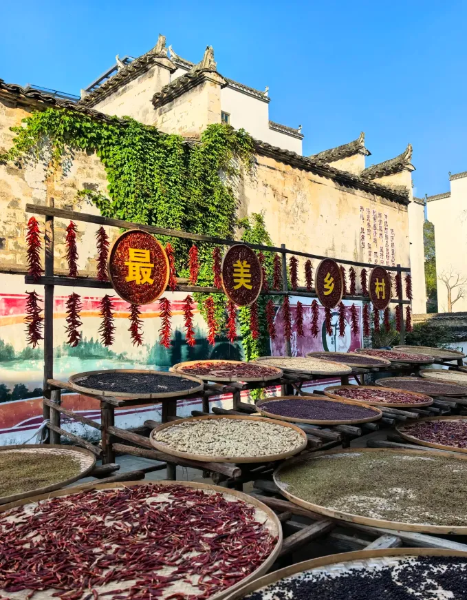 81e2a5b83e1740a5c3633913234674ef-sz_1388486 81e2a5b83e1740a5c3633913234674ef-sz_1388486