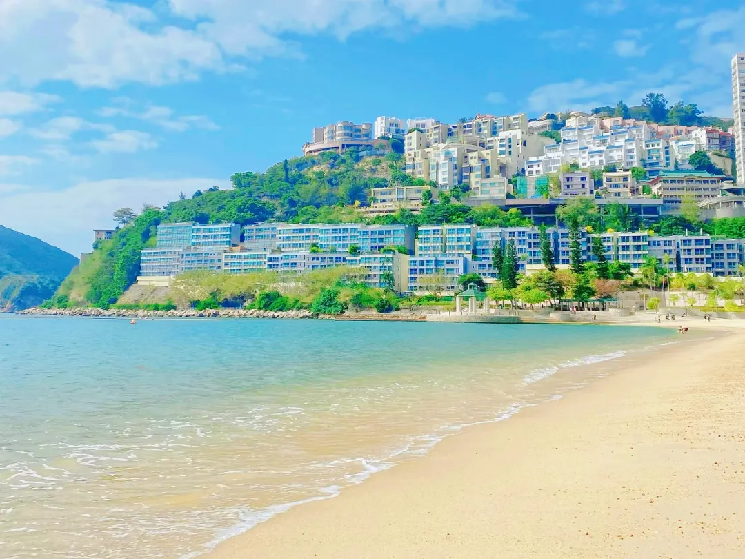 82033c3e484cb1f3f765d7fa61db3a3c-sz_2221638-1