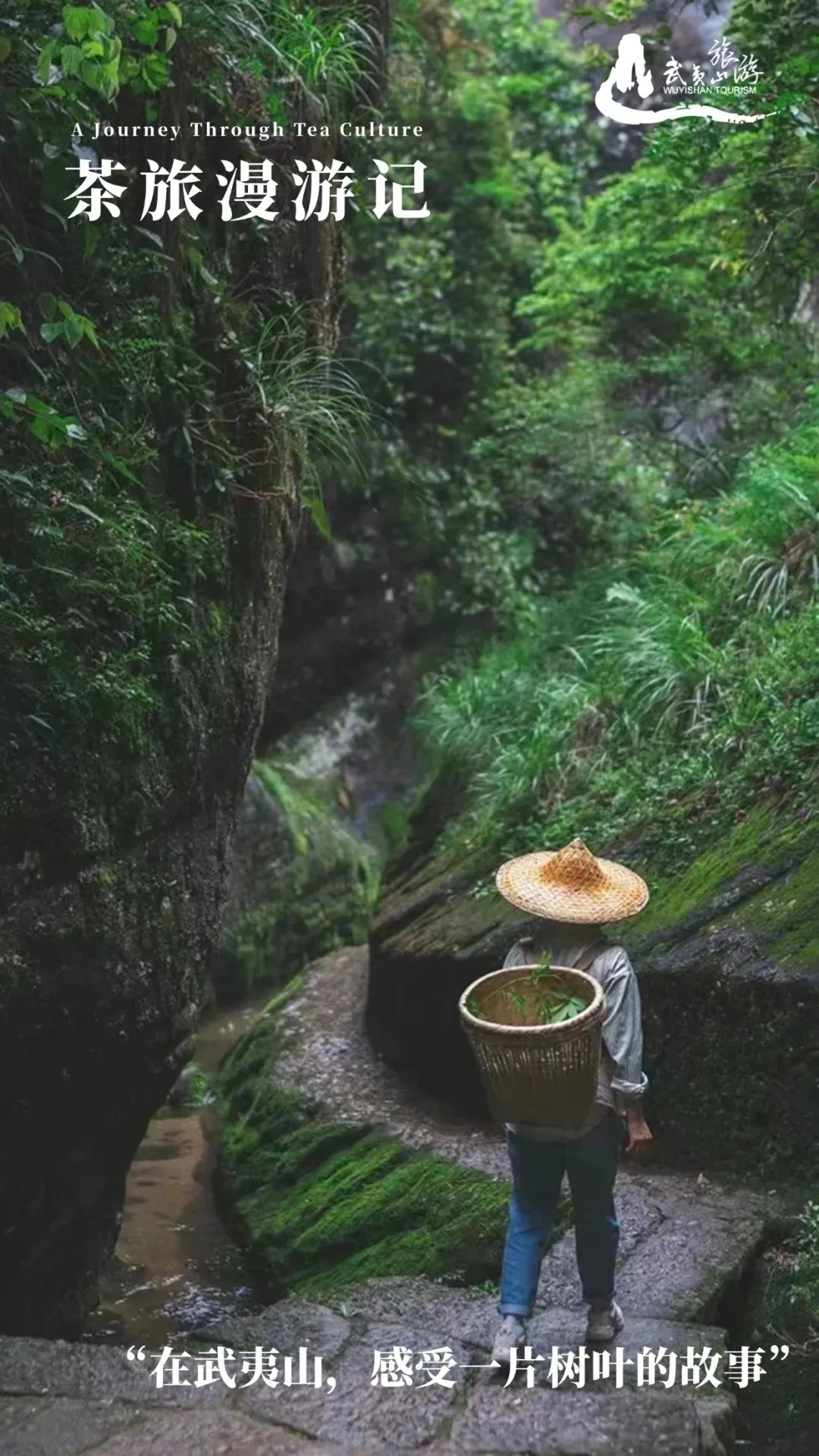 8204379872d65421b00d30bf26512a2c-sz_466127 8204379872d65421b00d30bf26512a2c-sz_466127