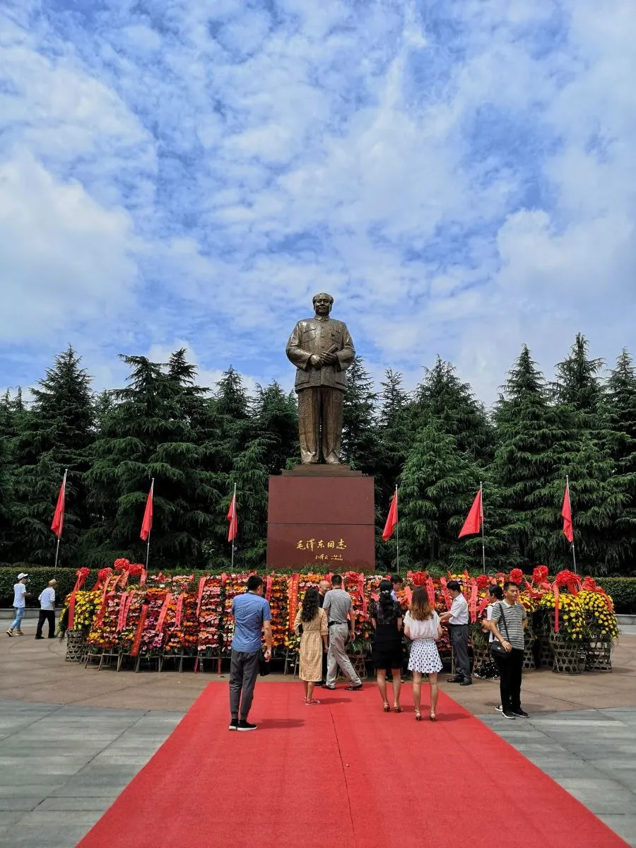 8245466b076764e3e96fb86a21d3b1bb-sz_205612