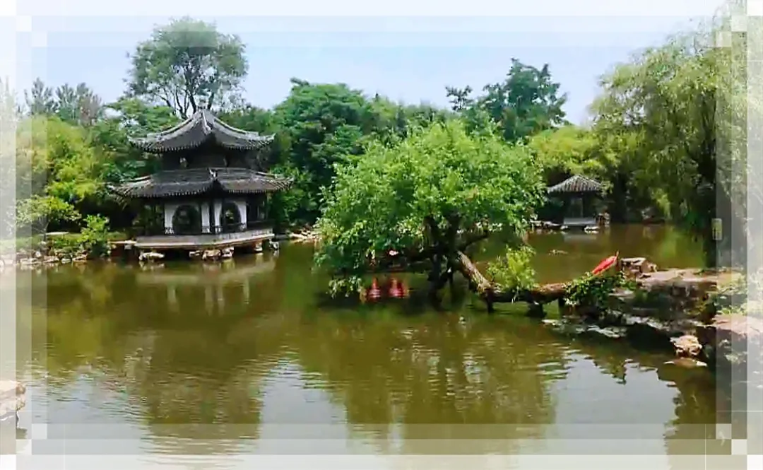 829068968f48975758ef004593cdcae5-sz_280618