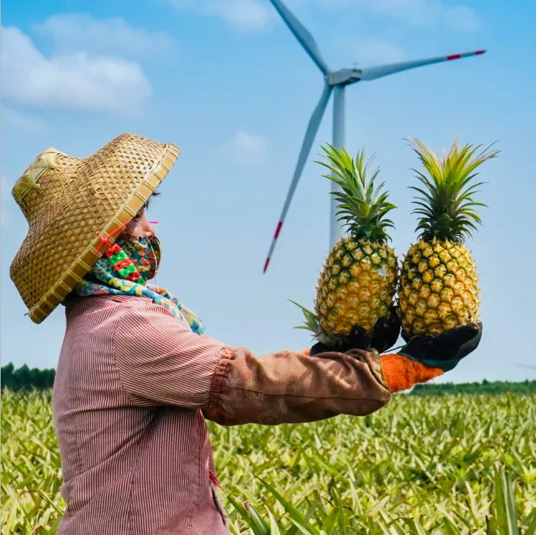 82b4c60d62871117bc5e9f3b600014b6-sz_1143147-3