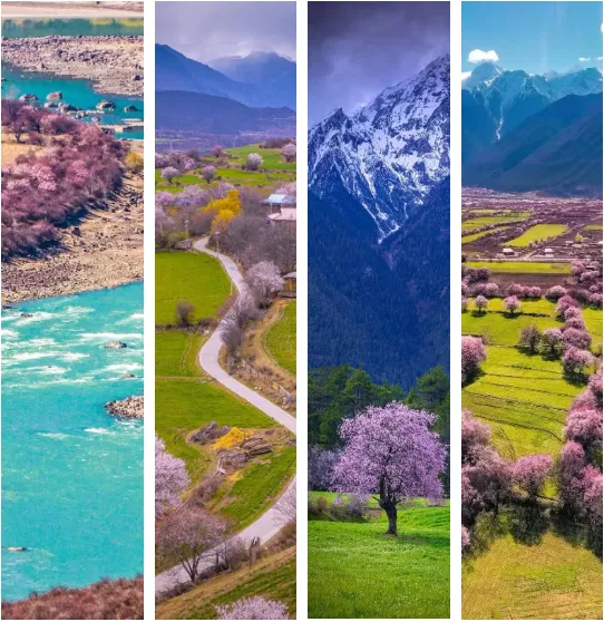 82c11c925a574816e7ea043be97c2245-sz_650348 82c11c925a574816e7ea043be97c2245-sz_650348