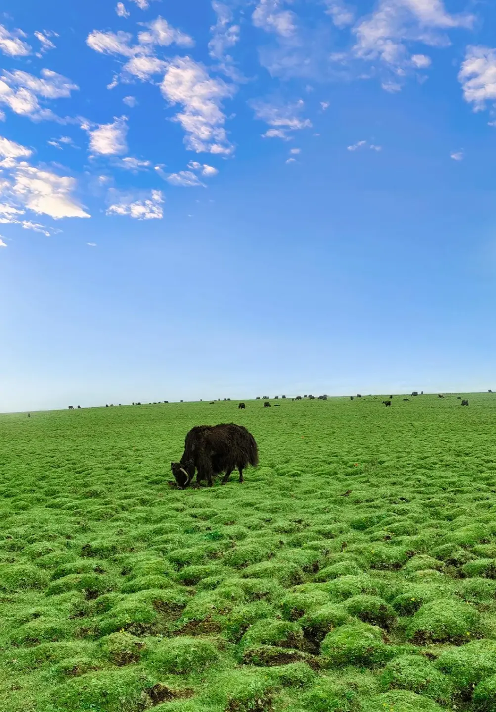 831d63dcba8afdac8c12d6158b3acaee-sz_305647 831d63dcba8afdac8c12d6158b3acaee-sz_305647