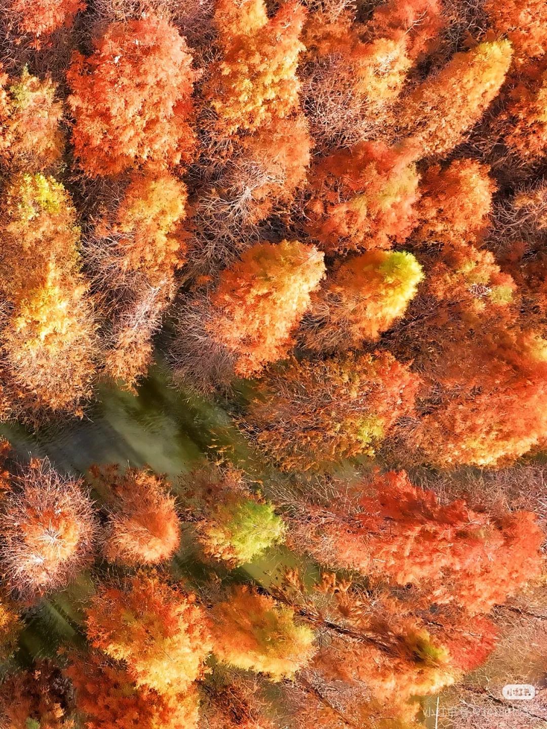 83278619459b650261aead6710fcb68b-sz_2721267