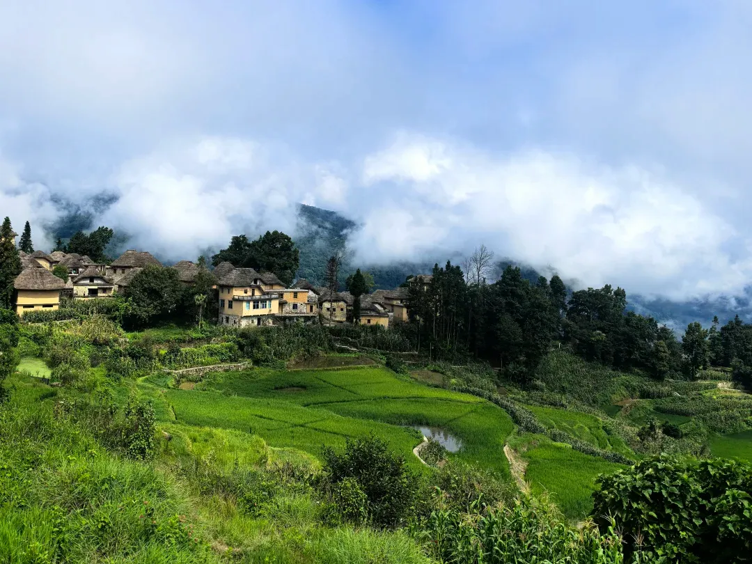 83496fea921013cf9fcf018b8908627c-sz_2391202