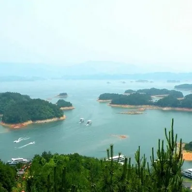 83674b2dcf027940dea8a8e97e361a6c-sz_328729