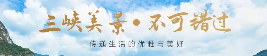 836fa368d7e73dea6335c377c2033918-sz_3463206 836fa368d7e73dea6335c377c2033918-sz_3463206