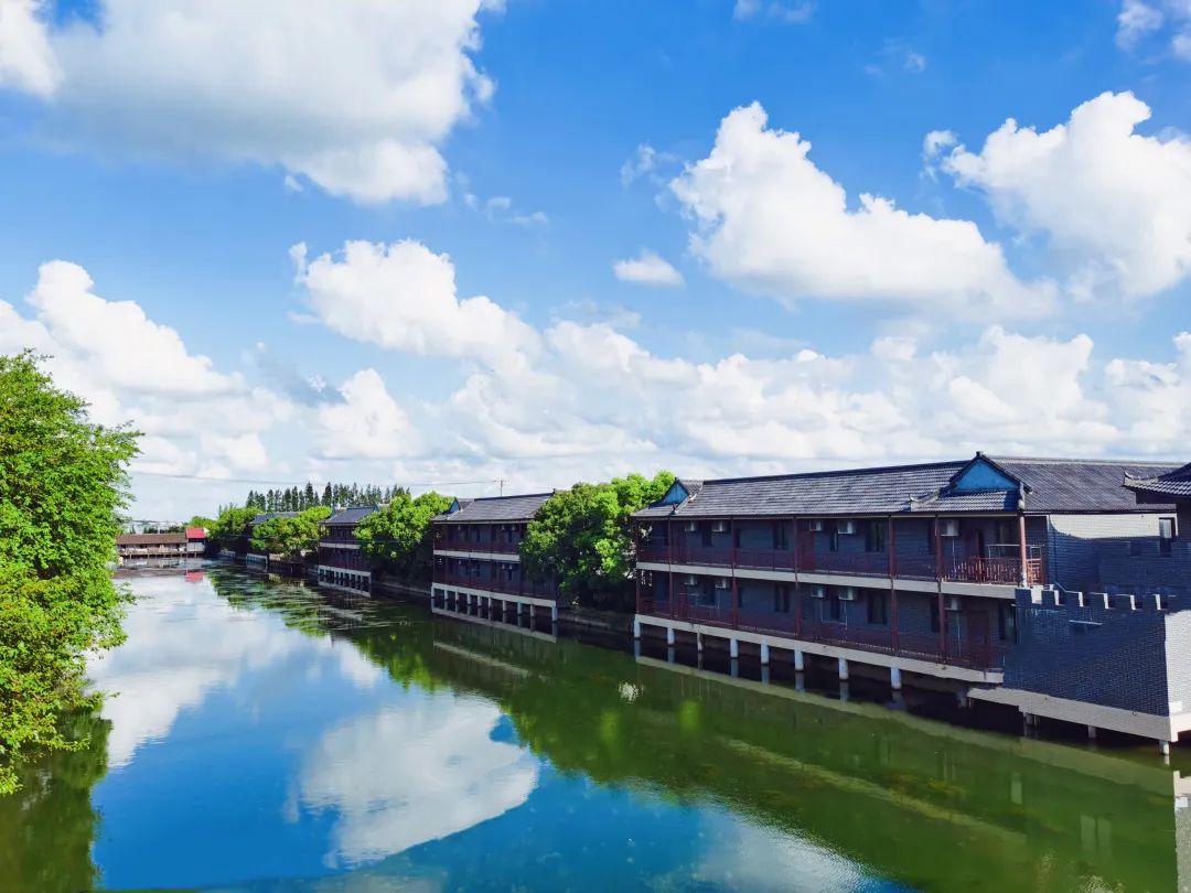 839967d4b3ff20d1fe318c9d5c2ead19