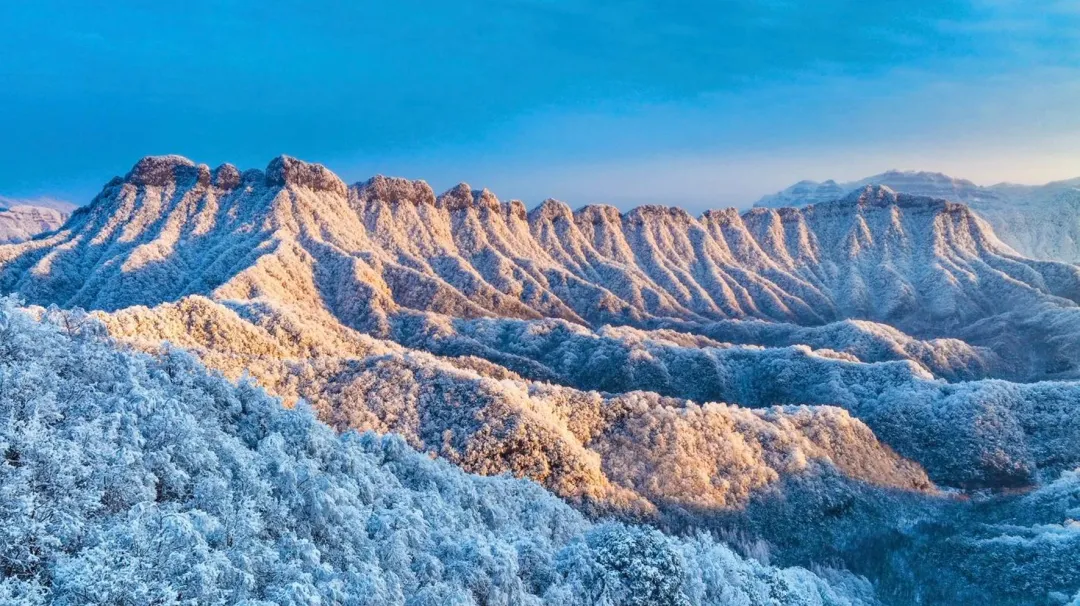 83997b4719ff3b538737d863c24027bc-sz_3319661